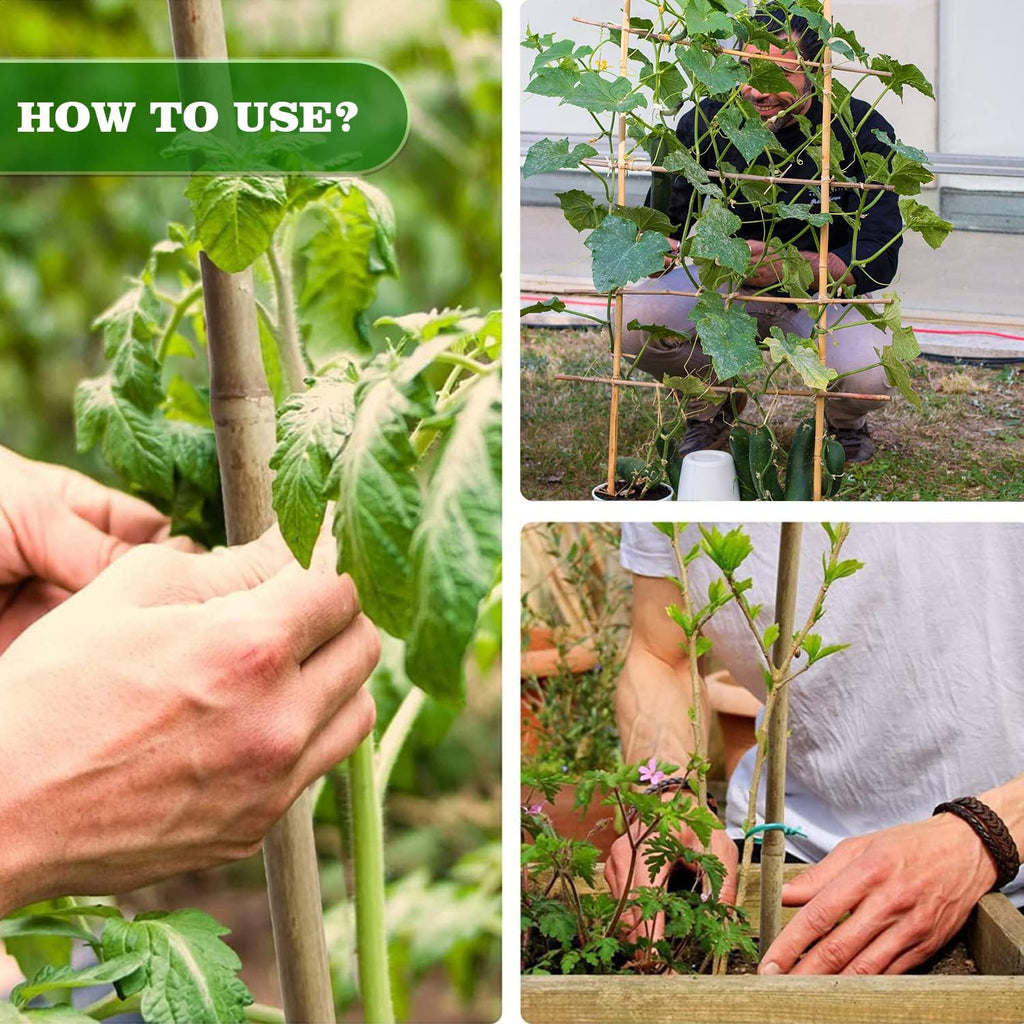 25pcs 1/2" D Thicker Heavy Duty Bamboo Stakes, 4FT Plant Stakes, Natural Garden Stakes for Tomato, Bean, Flowers,Trees Potted and Climbing Plant Support - view 7