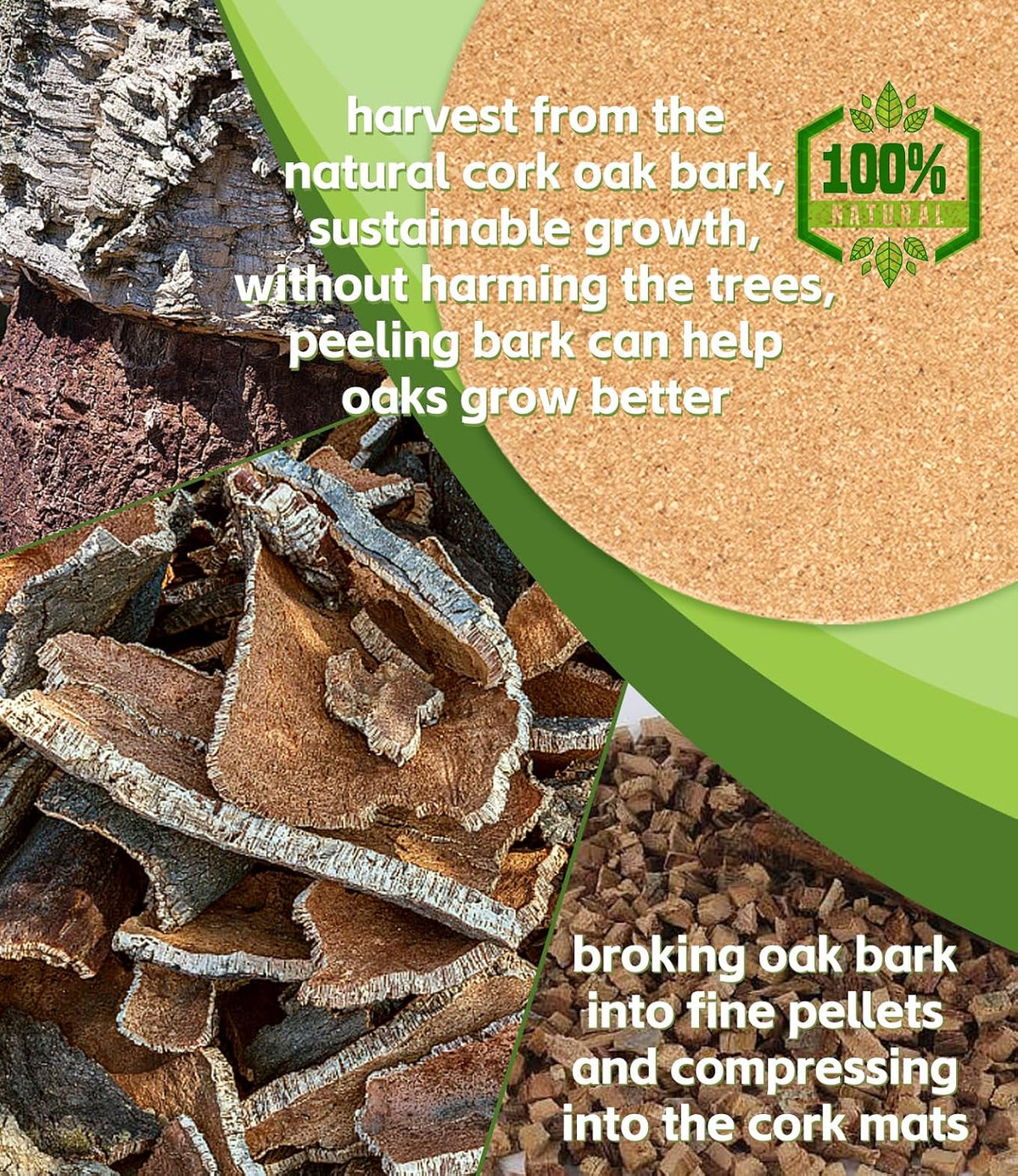 Cork Plant Coasters, Double Layers, 3 Sizes (4/6/8 Inch), 10 Pcs | Double Layers, Eucalyptus Wood Back, Thick & Hard, Absorbent Cork Plant Mats, Cork Trivets for Hot Dishes, For House Plants - view 2
