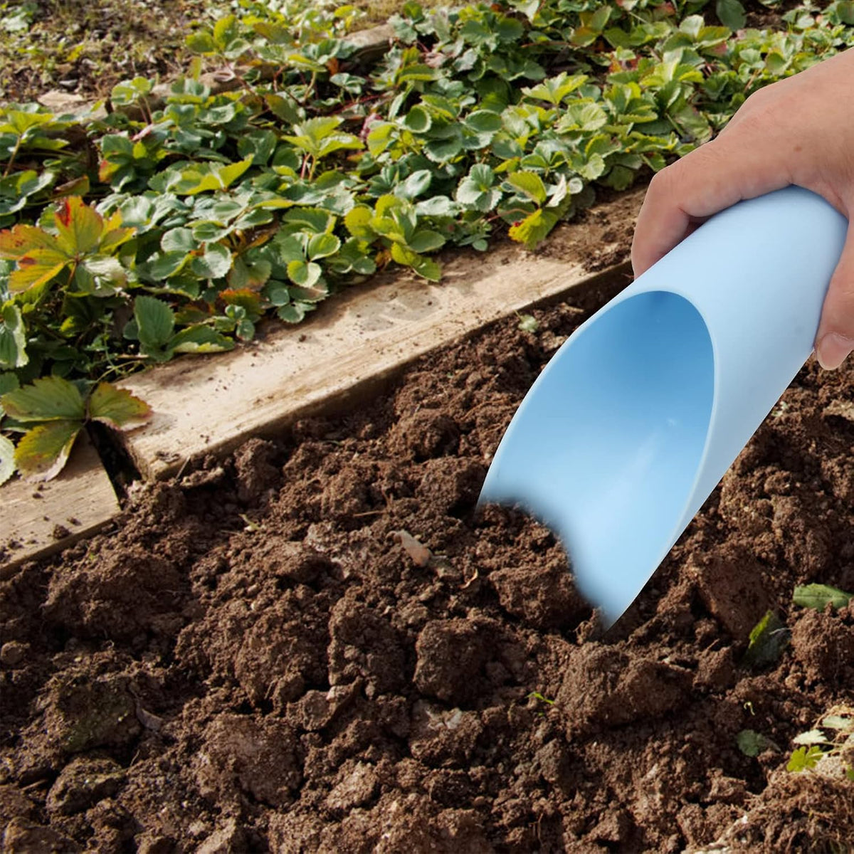 Bonsai Soil Scoops, 5 PCS Plastic Garden Soil Scoops | Colorful, Small Soil Scoops, Gardening Tools - view 5