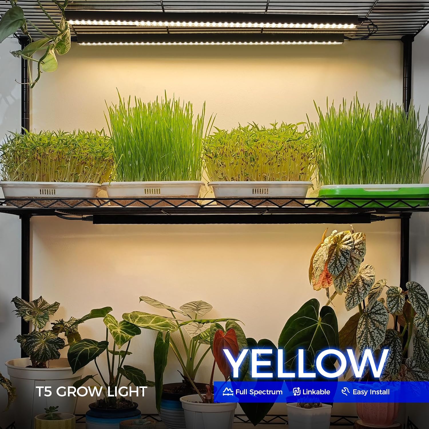 T5 LED Grow Lights, 2FT Yellow, Black Cover, Linkable, 2 Packs | Full Spectrum, Grow Light Strip for Indoor Plants, Plant Growing Lamp with Magnetic Bar, Separate Switch, 20W (2 x 10W) - view 3