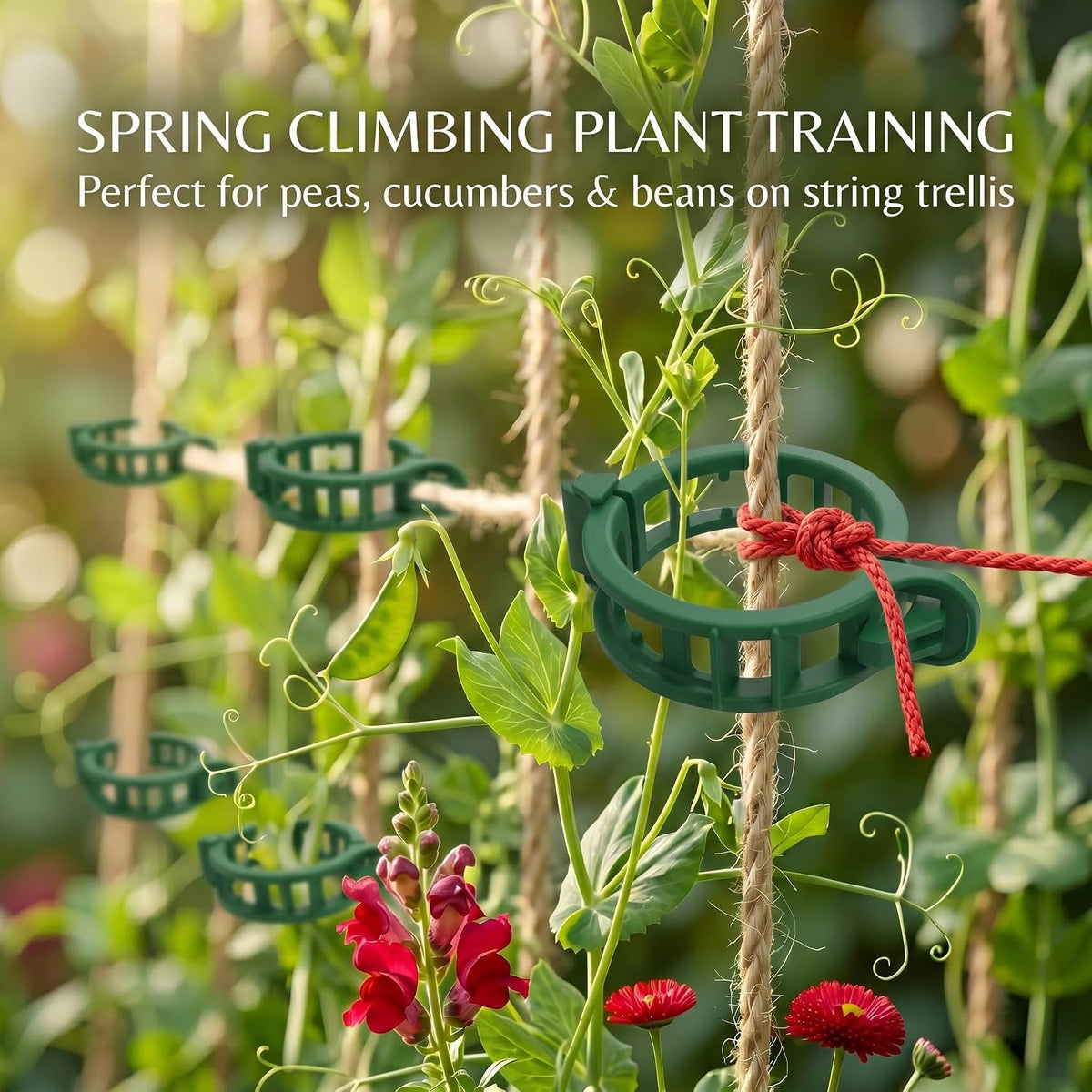 300Pcs Tomato Clips, Reusable Plant Support Clips for Climbing Plants, Garden Clips for Tomato Vine, Trellis Clips for String Trellis, Plant Fixing Clips for Vegetables (Green) - view 8