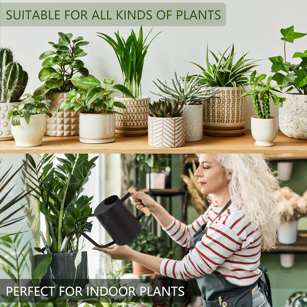 Plant Watering Can,35oz Metal Watering Can,Stainless Steel Indoor Plants with Long Curved Spout,Small Bonsai Outdoor Garden Modern Decorative(Black) - view 4