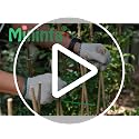 Natural Bamboo Stakes 4 Feet, Eco-Friendly Garden Stakes, Plant Stakes Supports Climbing for Tomatoes, Trees, Beans, 25 Pack - view 7