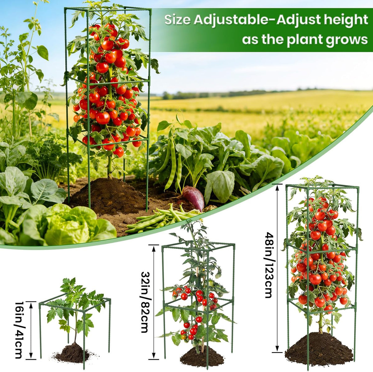 3 Pack Tomato Cages, 48'' Tall Tomato Plant Stakes Support for Raised Garden Bed Tomato, Square Trellis Cages for Garden Climbing Vegetables Flowers Fruits - view 2