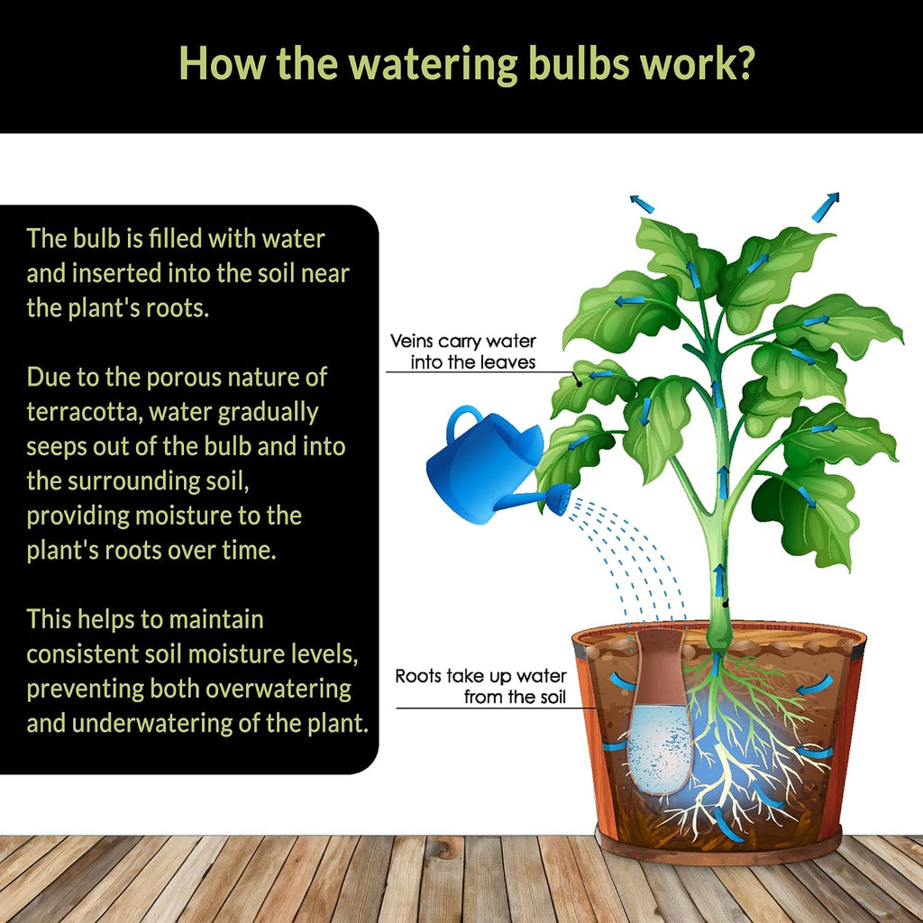 Ollas (set of 4) | 12oz terracotta plant watering globes - self watering planter insert - automatic plant watering devices | vacation watering pots for indoor & outdoor plants - view 8
