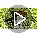 4 Pcs 9 Inch D Shaped Moss Pole with Watering Dripper, Plastic Moss Poles for Climbing Plants, Sturdy Monstera Plant Support, Self Watering Moss Pole Kit for Plants Indoor (2Pack 4Pcs-Translucent) - view 7