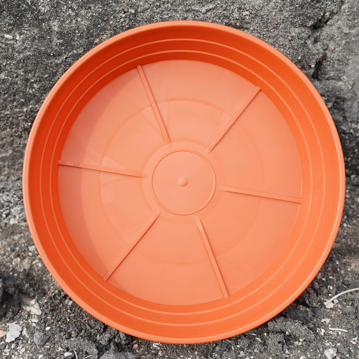 Plant saucer 6 inch 4 pack 6 8 10 12 14 16 18 20 25, plastic plant trays for pots, extra-deep plant water tray, bird bath bowl, heavy flower plant saucers indoors and outdoor no holes 6in-4 red - view 6