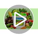 30,000+ Non-GMO Heirloom Seeds, 30 Fruit & Vegetable Varieties - view 7