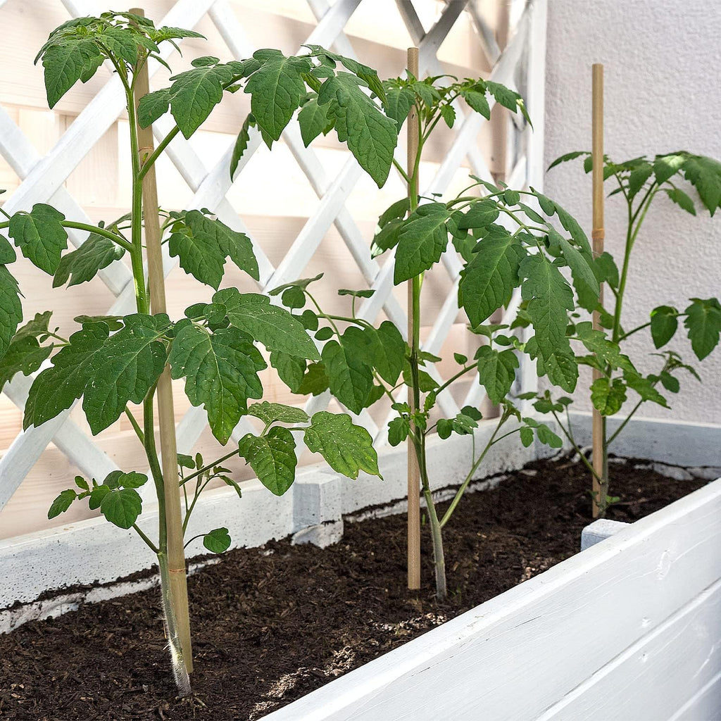 Plant Stakes,18 Inches Natural Garden Bamboo Sticks, 20Pcs Plant Support Stakes for Tomatoes,Beans,Vegetable and Potted Plants | with 20Pcs Green Ties, Bamboo Sticks for Plants,Garden Stakes for Plants,Tomatoes, Beans, Vegetable and Potted Plants - view 4