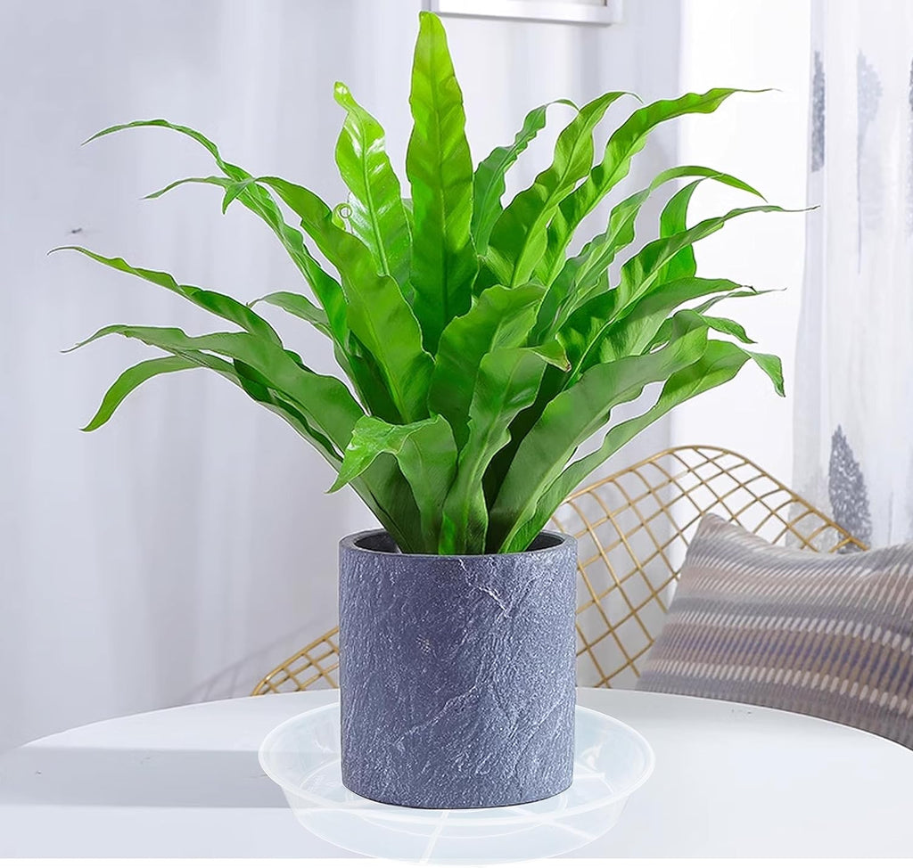 6 pack plant saucer drip tray 16 inch, potting trays for plants, heavy sturdy plastic planter flower pot saucers for indoor outdoor garden, plant water drip trays for pots (16", clear) - view 6