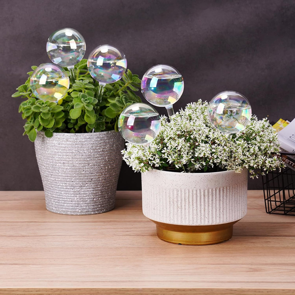 [6 PCS] Light iridescent rainbow gradient color clear glass self-watering system spikes, automatic plant waterer bulbs - view 5