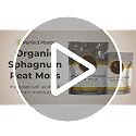Organic Sphagnum Peat Moss, 4 qt, Soil Additive - view 6