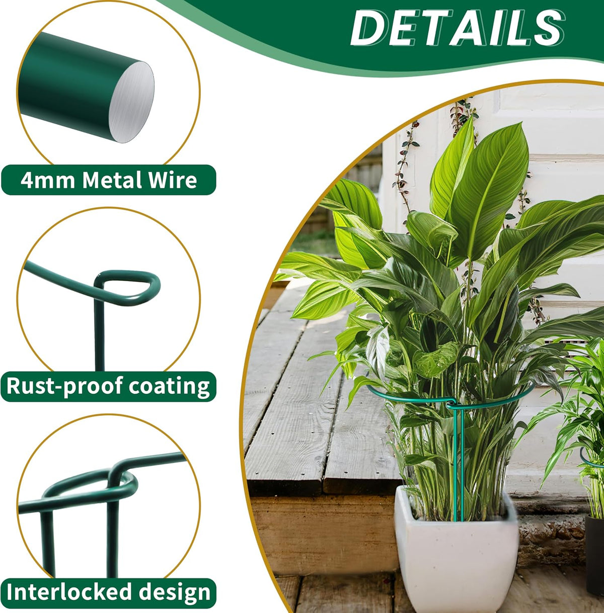 10 Pack Garden Plant Support Stakes,10" Widex16 High Heavy Duty Interlinked Half Round Peony Support Ring Cage for Indoor Outdoor Plants,Plant Supports for Peony,Tomato,Hydrangea,Rose - view 5