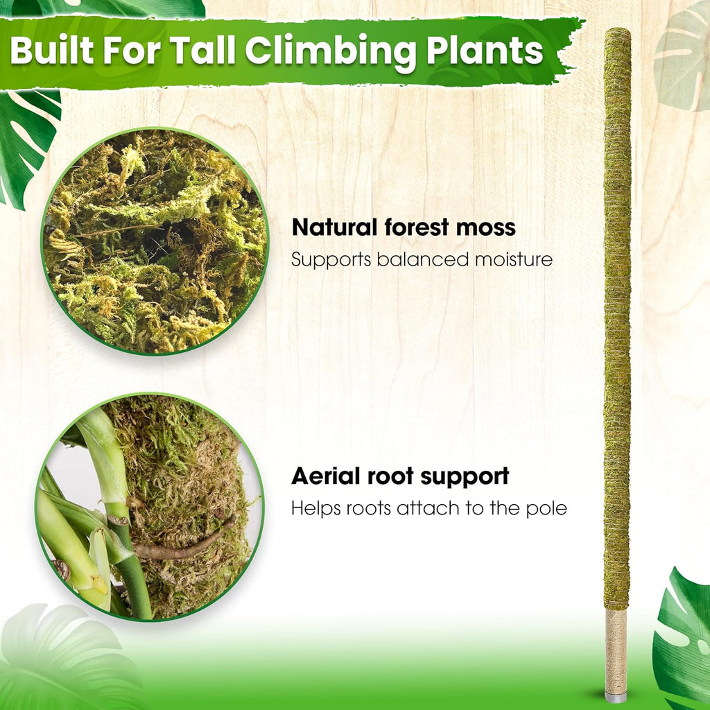 80 Inches Large Moss Pole for Plants Monstera, Plant Stakes for Indoor Plants, Monstera Plant Support, Plant Support/Plant Pole for Big Climbing Plants Indoor (1pc., 80'') - view 5