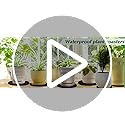 Plant Coaster Mat Reversible(Fabric/Leather),8Pcs Plant Coasters 4 Sizes(4/6/8/10inch) Plant Coasters for House Plants Indoor & Outdoor,Household Products Absorbent/Waterproof(8pcs Set) - view 7