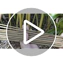 Natural Bamboo Garden Stakes, 20pcs Plant Sticks 18 inches - view 7