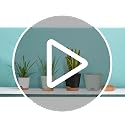 Plant Pots 7/6.5/6/5.5/5 Inch Self Watering Planters with Drainage Hole, Plastic Flower Pots, Nursery Planting Pot for All House Plants, African Violet, Flowers, and Cactus,Green - view 7