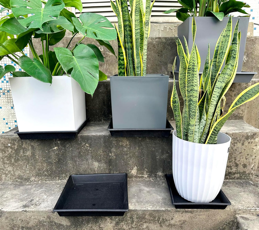 Square Plant Saucer 6 Inch 5 Pack6 8 12 14 16 18 20 Heavy Duty Plastic Plant Saucers for Indoors Outdoors, Plant Trays for Pots, Flower Pot No Holes Plant Drip Trays - view 7