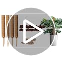 Moss Pole, 2 Pack 17 Inch Monstera Plant Support for Climbing Plants Accessories Indoor, Stackable Moss Poles Plant Support Stakes, Coir Plant Pole Sticks for Potted Plants, Pothos, Philodendron - view 7