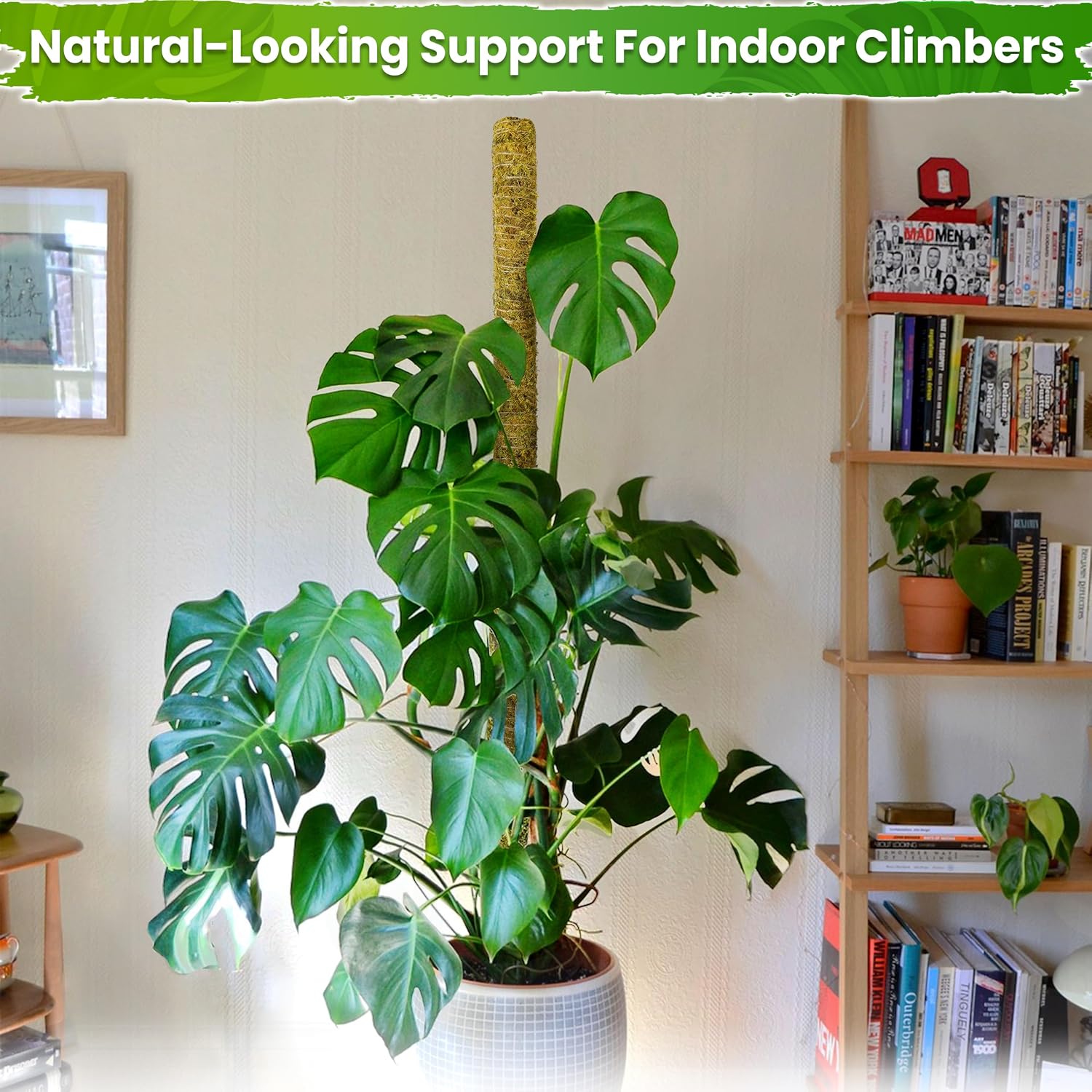 80 Inches Large Moss Pole for Plants Monstera, Plant Stakes for Indoor Plants, Monstera Plant Support, Plant Support/Plant Pole for Big Climbing Plants Indoor (1pc., 80'') - view 8