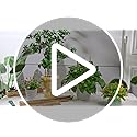 100 Pcs Bamboo Plant Stakes Natural Garden Support Sticks,2 ft - view 7
