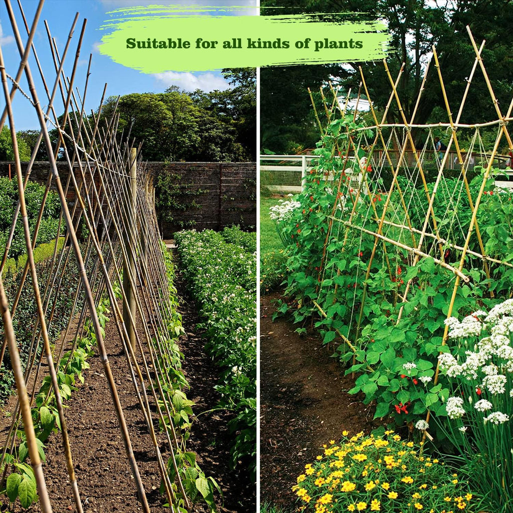 25pcs 1/2" D Thicker Heavy Duty Bamboo Stakes, 4FT Plant Stakes, Natural Garden Stakes for Tomato, Bean, Flowers,Trees Potted and Climbing Plant Support - view 8
