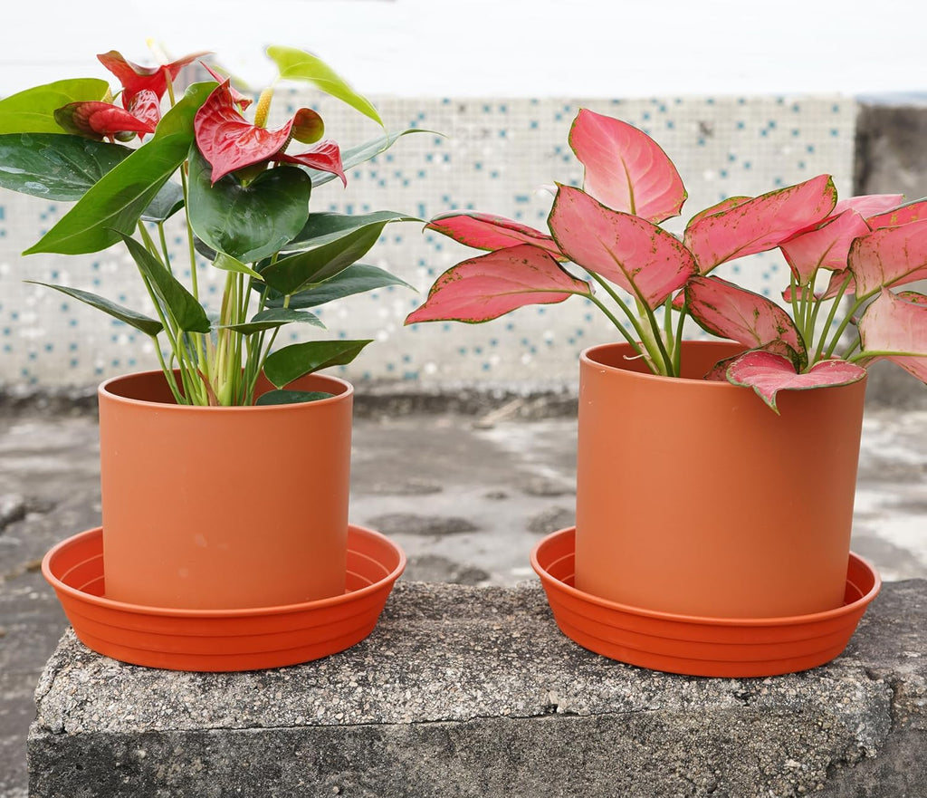 Plant saucer 6 inch 4 pack 6 8 10 12 14 16 18 20 25, plastic plant trays for pots, extra-deep plant water tray, bird bath bowl, heavy flower plant saucers indoors and outdoor no holes 6in-4 red - view 3