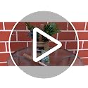 30 Inch Moss Pole for Climbing Plants - 2 Pack 15 Inch Coir Totem Pole Plant Support with 65 Feet Garden Twist Tie for Monstera and Potted Plants to Grow Upwards… - view 7