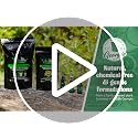 Potting Soil - 4-Quart Bag, Perlite - Well-Draining Snake Plant Soil - Slightly Acidic Potting Mix for Indoor Plants - view 7