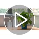 Squeeze Plant Watering Bottle 250ml 8oz Small Wash Bottle Squeeze Plastic Watering Can for Indoor Plants Succulents (1pc) - view 5