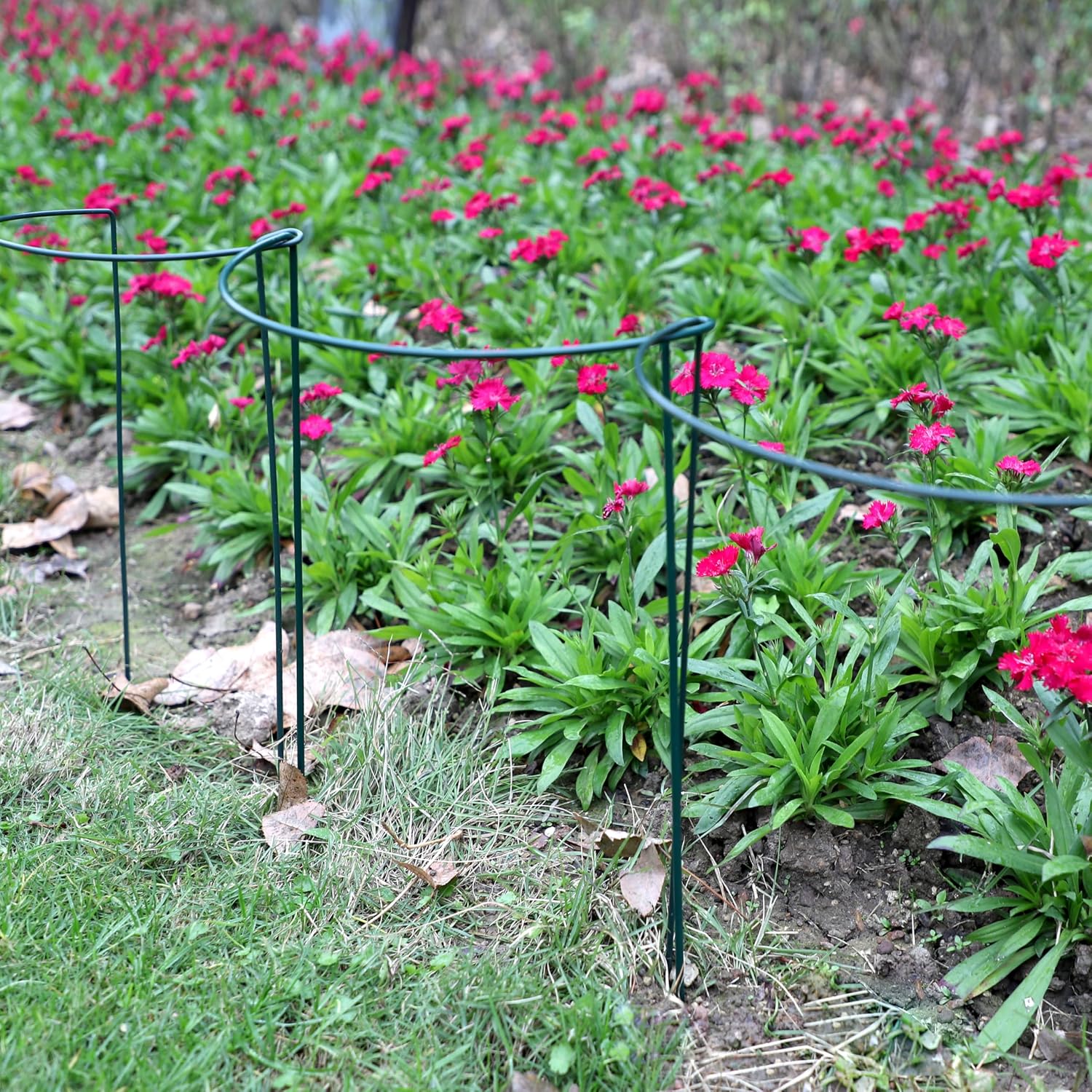 10 Pack Garden Plant Support Stakes,10" Widex16 High Heavy Duty Interlinked Half Round Peony Support Ring Cage for Indoor Outdoor Plants,Plant Supports for Peony,Tomato,Hydrangea,Rose - view 6