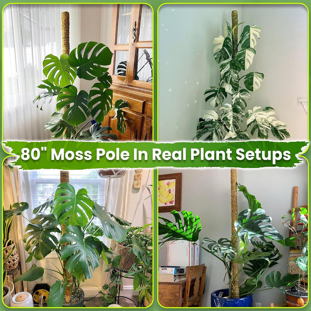 80 Inches Large Moss Pole for Plants Monstera, Plant Stakes for Indoor Plants, Monstera Plant Support, Plant Support/Plant Pole for Big Climbing Plants Indoor (1pc., 80'') - view 3