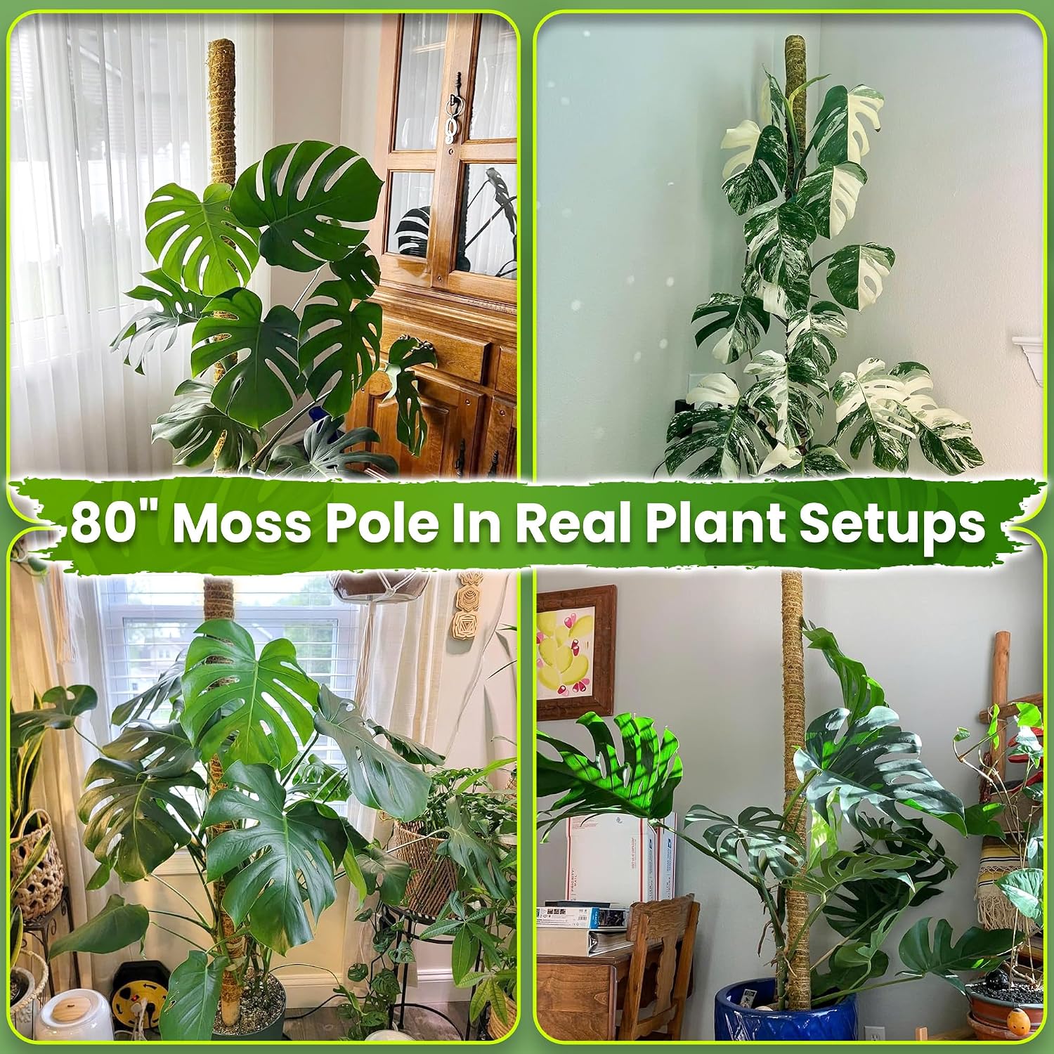 80 Inches Large Moss Pole for Plants Monstera, Plant Stakes for Indoor Plants, Monstera Plant Support, Plant Support/Plant Pole for Big Climbing Plants Indoor (1pc., 80'') - view 3