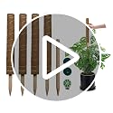 Moss Pole for Plants 4 Pack Natural Coco Coir Climbing Support Stakes with Plant Ties Indoor Monstera Plant Training Extension Poles 14.8inch Each Total 59.2inch - view 7