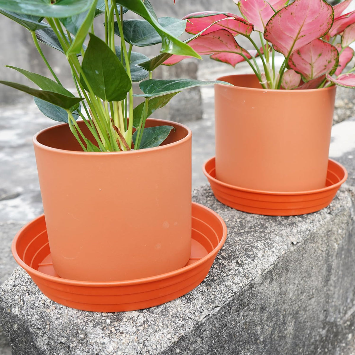 Plant saucer 6 inch 4 pack 6 8 10 12 14 16 18 20 25, plastic plant trays for pots, extra-deep plant water tray, bird bath bowl, heavy flower plant saucers indoors and outdoor no holes 6in-4 red - view 5