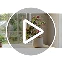 2 Pack 31.5 Inch Bendable Moss Pole for Plants Monstera - Coco Coir Plant Support Stakes for Climbing Indoor Pothos, Potted Climbers & Philodendron - Flexible Stick Kit with Full Garden Ties - view 7