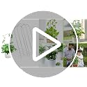 3PCS U-Shaped Clear Acrylic Trellis, 13.7X4'' Plant Trellis - view 7
