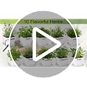 Indoor Herb Garden Kit – 10 Non-GMO Herb Seeds with Soil, Pots & Moisture Meter – Easy Windowsill Gardening Starter Set – Unique Gift for Gardeners, Home Chefs & Families - view 7