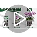 12 Pack Plastic Orchid Pots with Holes, 4, 5, 6 Inch Clear Orchid Pots for Repotting with Saucers Drainage and Plant Stakes, Large Small Breathable Orchids Planter Plant Pot - view 7