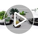 12 Inch Plant Saucer, Black Plant Plates to Catch Water, Pebble Tray for Plant Humidity, Flower Pot Saucers for Indoor and Outdoor Garden(2PCS) - view 7