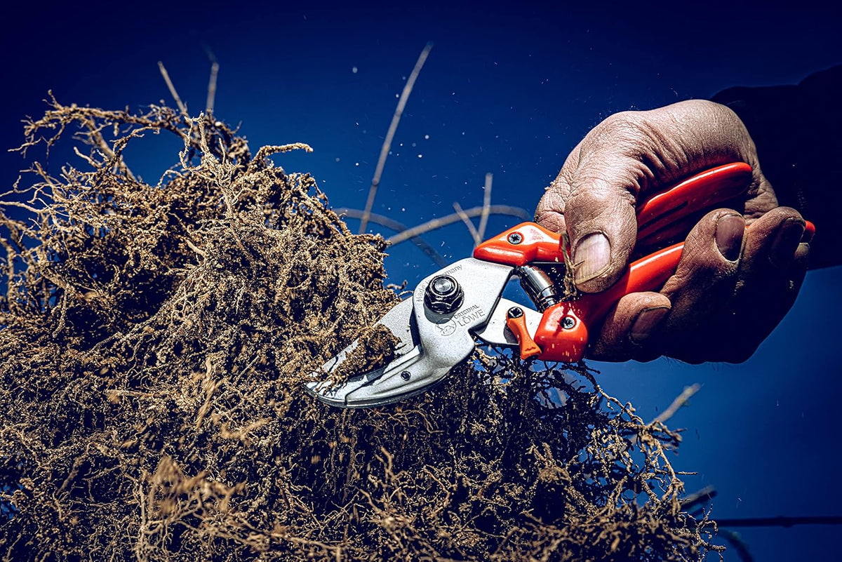 Profi Anvil Prunner Garden Tools 8.107 with Bypass Geometry | Robust & Sharp Hedge Trimmer | Use as Pruners, Garden Shears, Handheld, Pruning Shears for Gardening | Made in Germany - view 4
