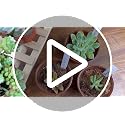 4" Small Plastic Plant Nursery Pots 100Pcs with Labels - view 7