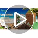 3 Pack Organic Coco Coir Brick for Plants, Natural Coconut Coir Soil - view 7