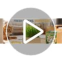 Cat Grass Kit Indoor Cats - Cat Grass Growing Kit with Wooden Planter, 3 Plantings with Wheatgrass Seeds, Coconut Soil Discs & Gardening Tool, Indoor Cat Garden Gift - view 7