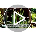 24 in Plant Stakes, 12 Pack Garden Plant Support Stakes(12" or 24") - view 7
