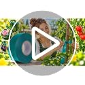 Stretch Tie Tape Roll, 1" 150ft Garden Tie Tape Reusable Garden Plant Ties Thick Sturdy Plant Ribbon Garden Green Vinyl Stake Gardening Tools for Indoor Outdoor Patio Plant Use - view 7