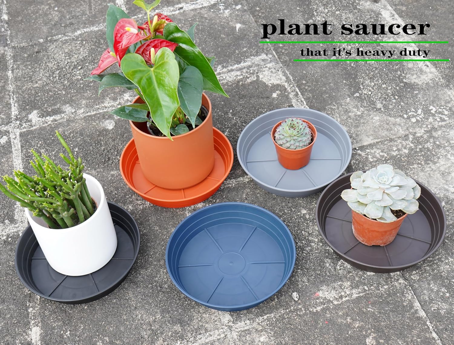 Plant saucer 6 inch 4 pack 6 8 10 12 14 16 18 20 25, plastic plant trays for pots, extra-deep plant water tray, bird bath bowl, heavy flower plant saucers indoors and outdoor no holes 6in-4 red - view 7