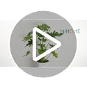 39.5" Comprehensive Plant Support Stake Set of 6 - Durable - view 7