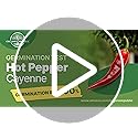 55 Vegetable Seeds Variety Pack - 35,600+ Non-GMO Heirloom Seeds for Planting Vegetables and Fruits in Individual Seed Packets, Home Garden Seeds for Hydroponic, Indoor and Outdoors Gardening - view 7