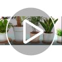 4-Pack Cork Plant Mats, Round Cork Coasters for Garden Pots and DIY Crafts, 4 Inch and 6 Inch Set, Water-Resistant Pot Saucers - view 7